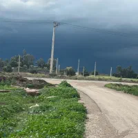 زمین-باغچه