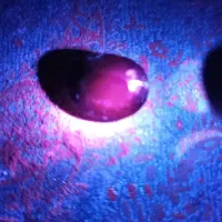 مجموعه الماس، یاقوت و عقیق تراش جواهری|جواهرات|شهریار, شهریار|دیوار