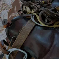 زین برنو