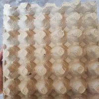 استخدام نیرو کاری