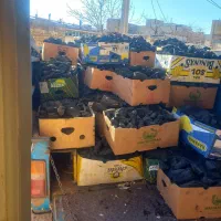 زغال کبابی و قلیونی