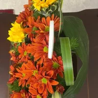 باکس گل جذاب|گل و گیاه طبیعی|مشهد, هنرستان|دیوار