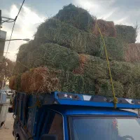 یونجه|لوازم جانبی حیوانات|تبریز, |دیوار