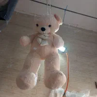 خشکشویی مهدوی|خدمات نظافت|پاکدشت, پاکدشت (مامازند)|دیوار