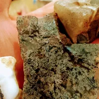 انواع گوهر سنگ های کلکسیونی|جواهرات|شیراز, ارم|دیوار