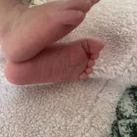 فروش وام فرزنداوری،مبلغ 44