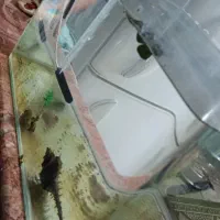 اکواریوم ۴۵×۳۵