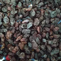 کشمش گوشتی و کاملا بهداشتی