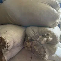 پشم گوسفندی