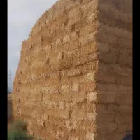 فروش پرس‌گندم‌وکاه‌ویونجه‌وکسانتره