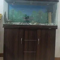 آکواریوم ماهیران با وسایل و تعدادی دیسکس(معاوضه)