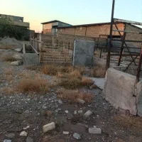 املاک دامداری 49راسی 5000متر|فروش دفتر صنعتی، کشاورزی، تجاری|دشتابی, |دیوار
