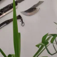 چاقو کوهنوردی|کوهنوردی و کمپینگ|کرمان, |دیوار