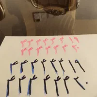 2خط تلفن ثابت رند 44444419 44444420