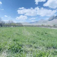 زمین-کشاورزی-باغ-میوه