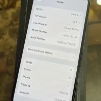 آیفون ۱۲ پرو/۲۵۶|موبایل|مشهد, چهارچشمه|دیوار
