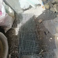 جفت کن کبوتر اردکان