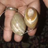 جفت مهره سلیمانی درشت