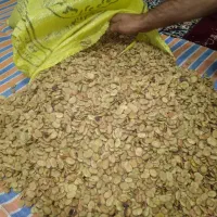 سلام فروش بذر باقلا فروشی ارمو