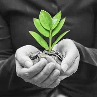 کمک به امور منزل