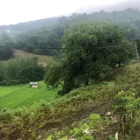 قطعه-زمین-فیروزکوه-فریم