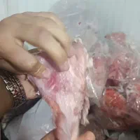 غذای سگ|لوازم جانبی حیوانات|حسین آباد, |دیوار