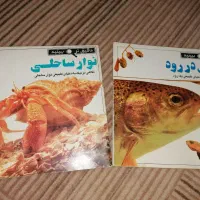 کتاب داستان کودک