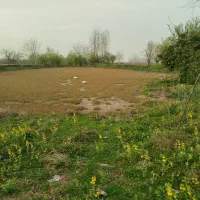 2700متر زمین کشاورزی