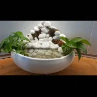 آبنما خانگی