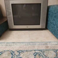 تلویزیون