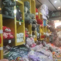 کارگر ساده خانم