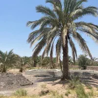 زمین مسکونی روستای قناد