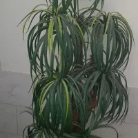 گل و گلدون مصنوعی