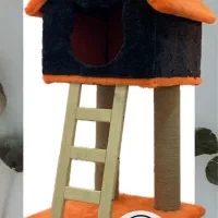 خانه و اکرچر گربه|لوازم جانبی حیوانات|رشت, گلسار|دیوار