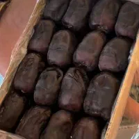 فروش خرمای مضافتی بم