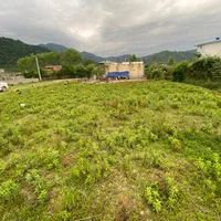 فروش زمین ویلایی|فروش زمین و ملک کلنگی|حویق, |دیوار