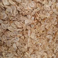 فروش بذرو نشا‌آنغوزه طبس ویزد ارسال ازشهرستان طبس