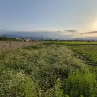 زمین-300-متری-مسکونی-اسالم-خیابان-سی-ان-جی