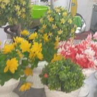 گلهای مصنوعی در حد نو فروشی