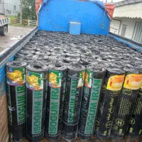 نصب وفروش ایزوگام های پلیمری|خدمات پیشه و مهارت|رشت, حافظ آباد|دیوار