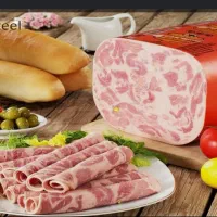 استخدام ویزیتور