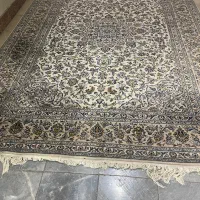فرش دستباف کاشان ۱۰ متری|فرش|اصفهان, فرهنگیان|دیوار