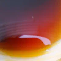 شیره خرما ، جهت بسته بندی خرما