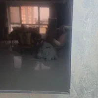 تلویزیون 75 اینچ|تلویزیون و پروژکتور|اسلام‌شهر, شهرک واوان|دیوار