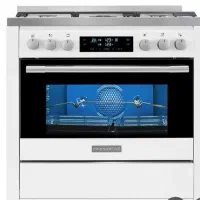 اجاق گاز فردار دوو