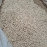 برنج عنبربو|خوردنی و آشامیدنی|دره شهر, |دیوار