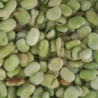 باقالی پاک شده