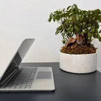سرفیس لپتاپ سبک، شیک و لمسی Surface Laptop Go|رایانه همراه|مشهد, فلسطین|دیوار