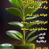 ‌کود ارگانیک گلهای اپارتمانی وگل خانه ای|گل و گیاه طبیعی|شیراز, میانرود|دیوار