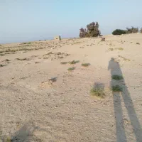 1800 متر زمین مسکونی بند محمد عبدالله